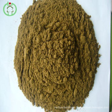 Anchovy Fish Meal for Sale Protein Powder